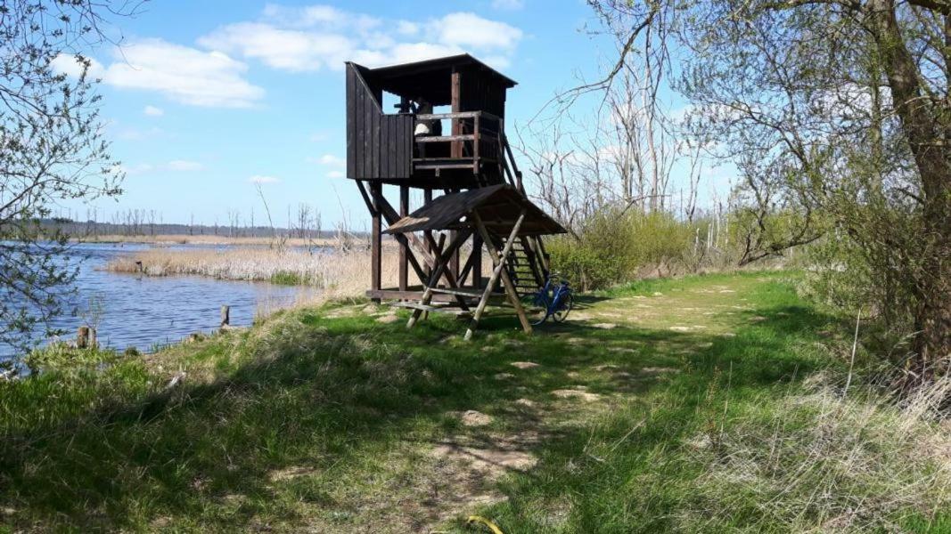 Ferienhaus Paul Am Klostersee, Urlaub Mit Hund Dargun Εξωτερικό φωτογραφία