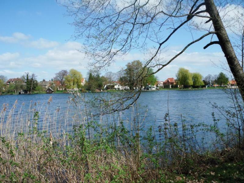 Ferienhaus Paul Am Klostersee, Urlaub Mit Hund Dargun Εξωτερικό φωτογραφία
