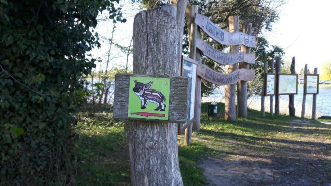 Ferienhaus Paul Am Klostersee, Urlaub Mit Hund Dargun Εξωτερικό φωτογραφία