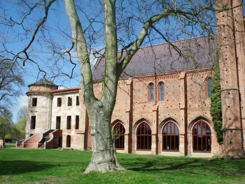 Ferienhaus Paul Am Klostersee, Urlaub Mit Hund Dargun Εξωτερικό φωτογραφία